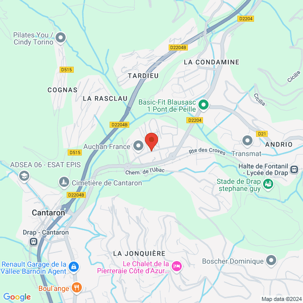 google map