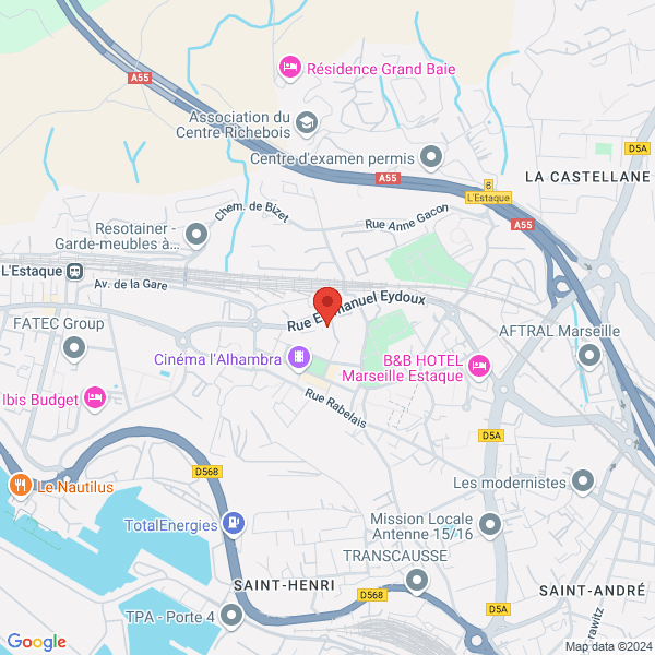 google map