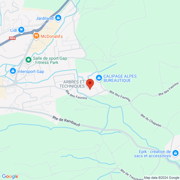 google map