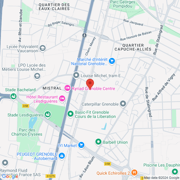 google map