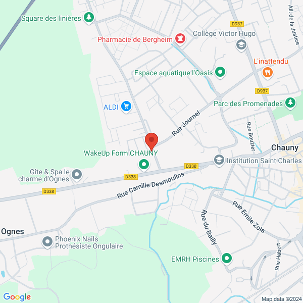 google map
