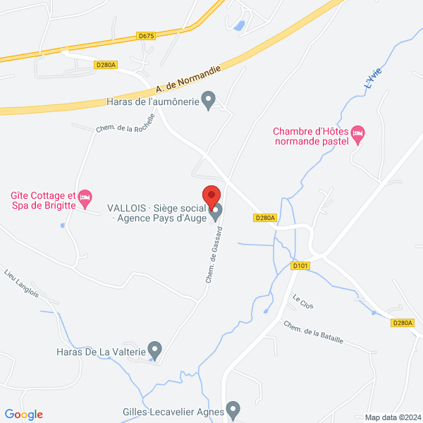 google map