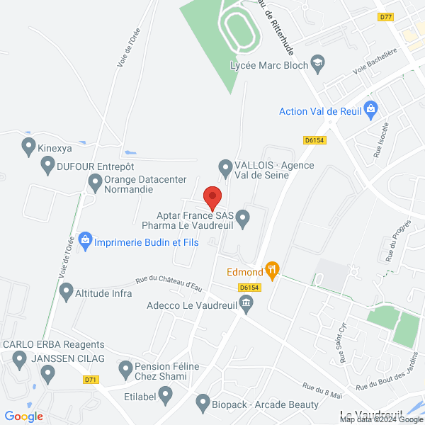 google map