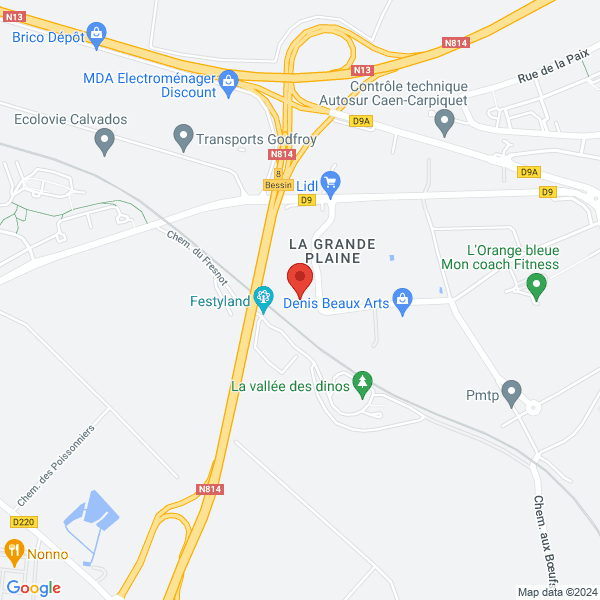 google map