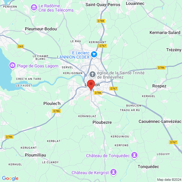 google map