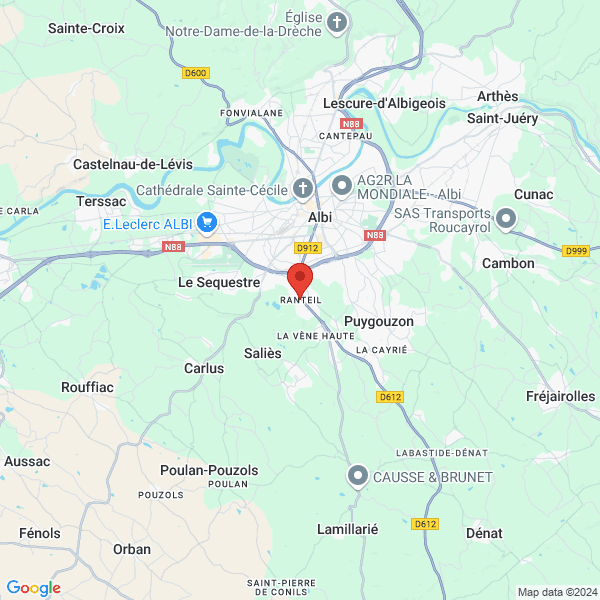 google map
