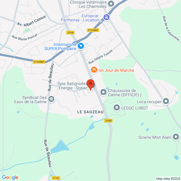 google map