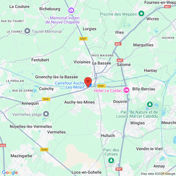 google map