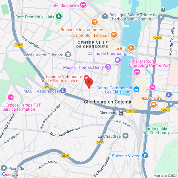 google map