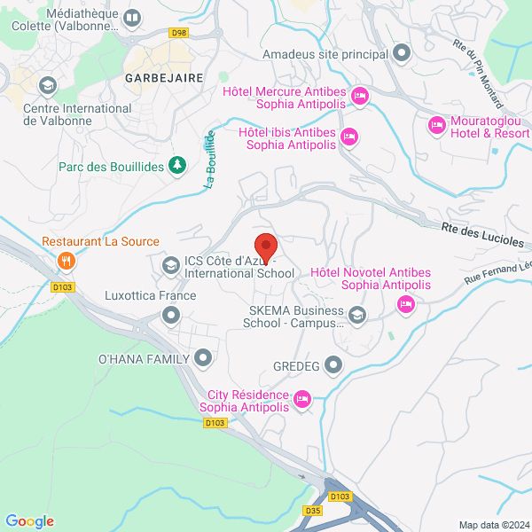 google map