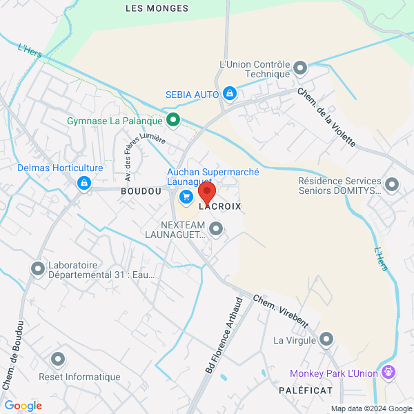 google map