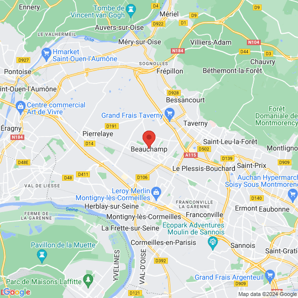google map