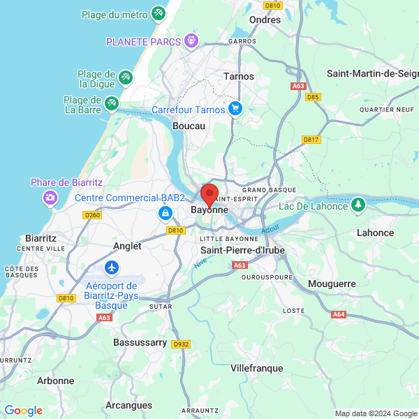 google map