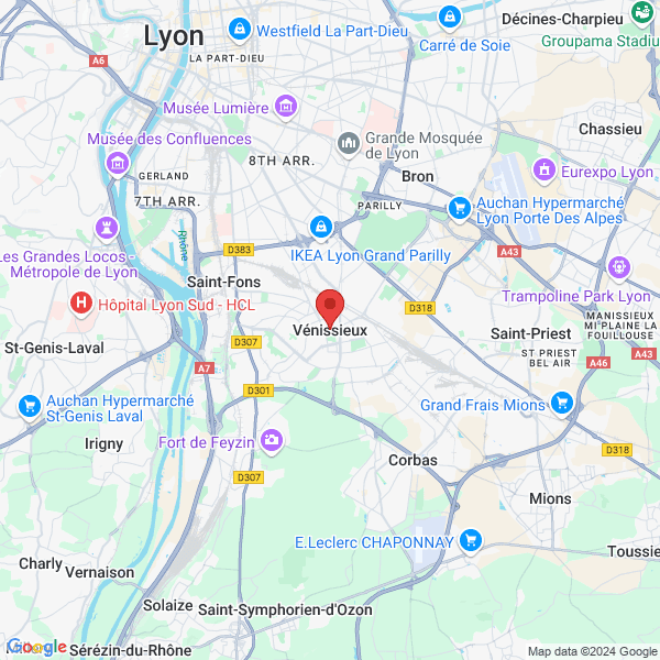 google map