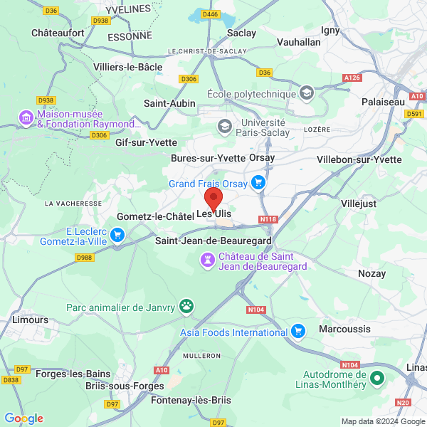 google map