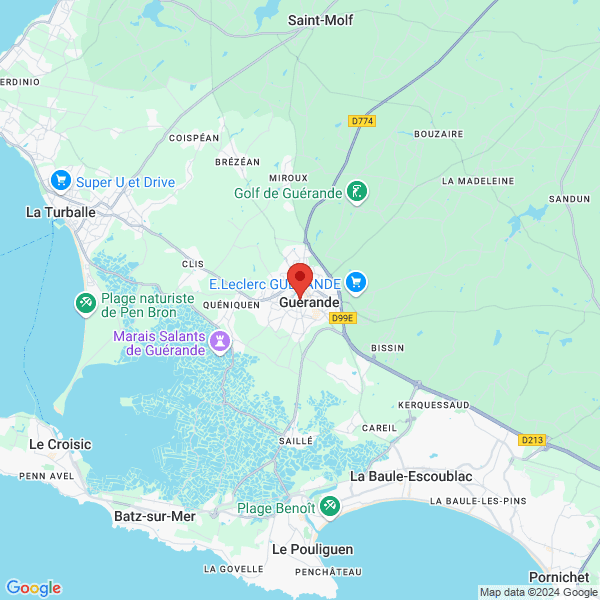 google map