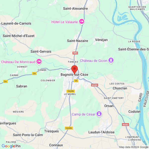 google map