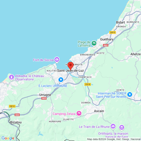google map
