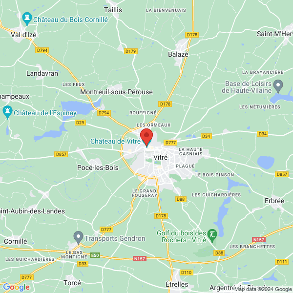 google map
