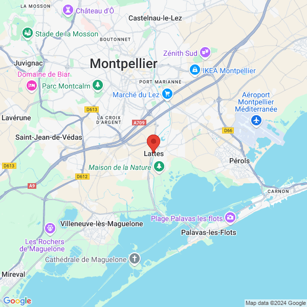 google map