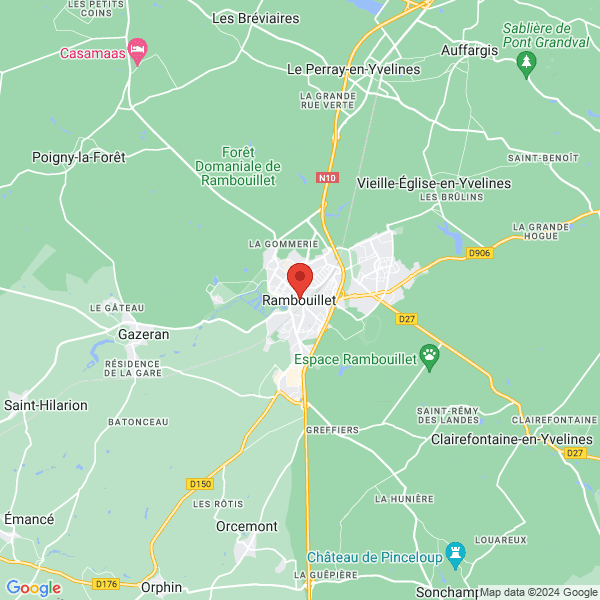 google map