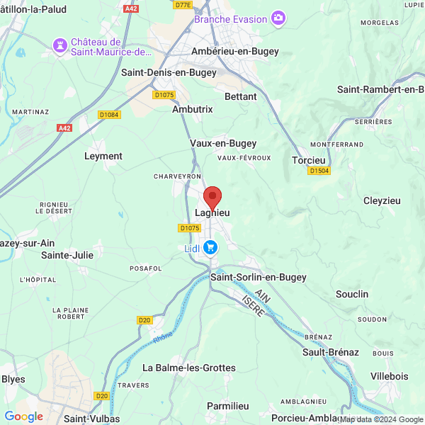 google map