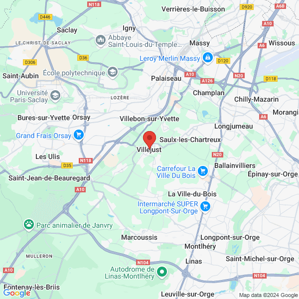google map