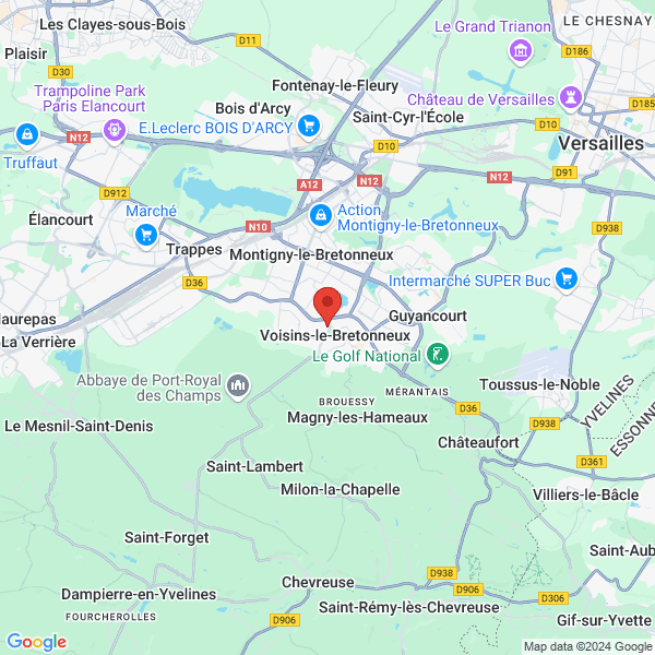 google map