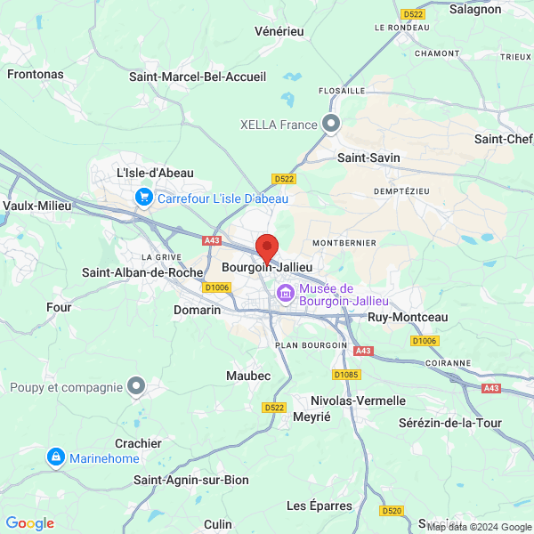 google map