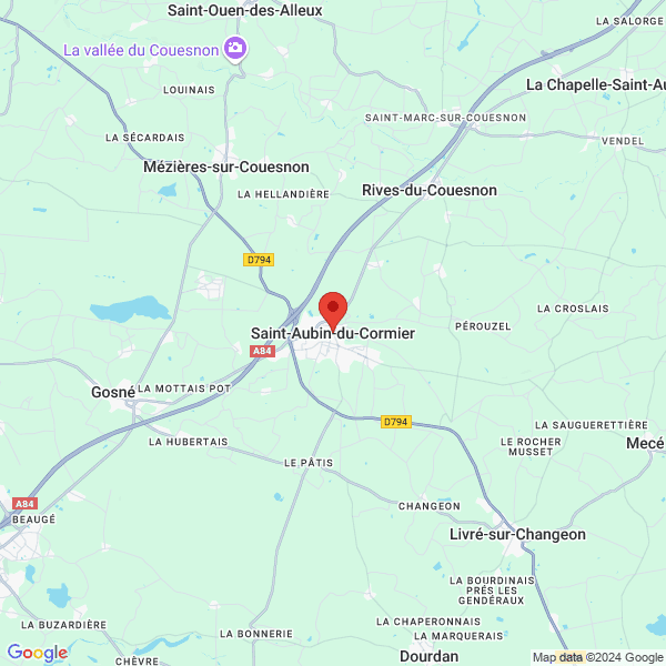 google map