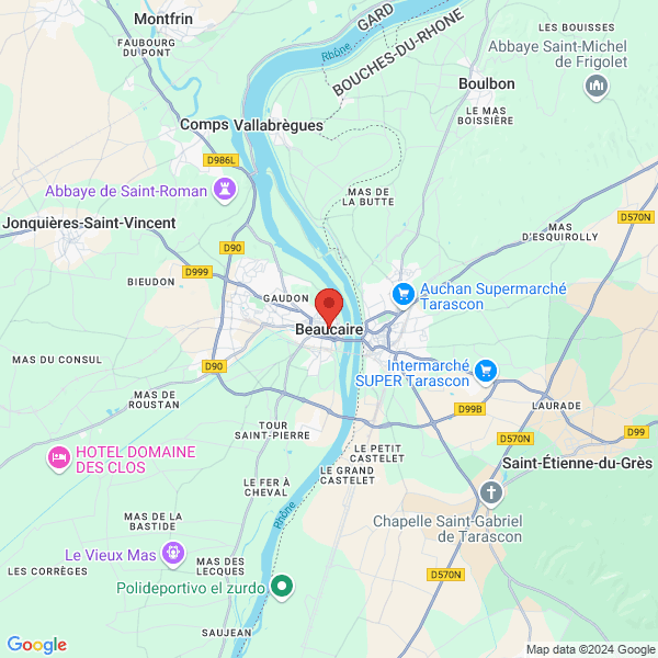 google map
