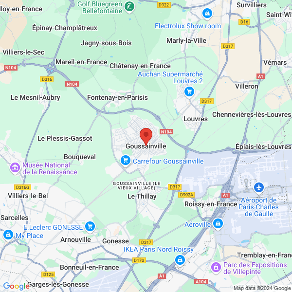 google map