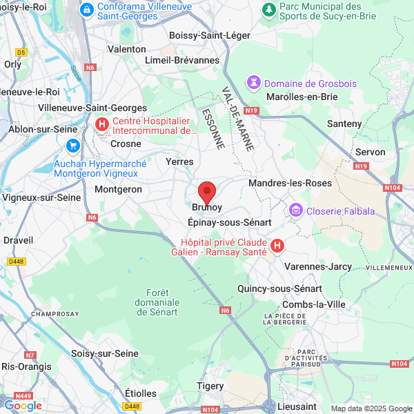 google map