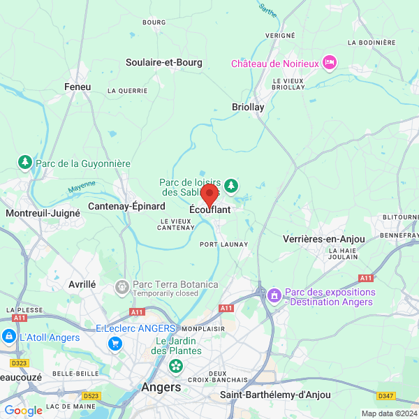 google map