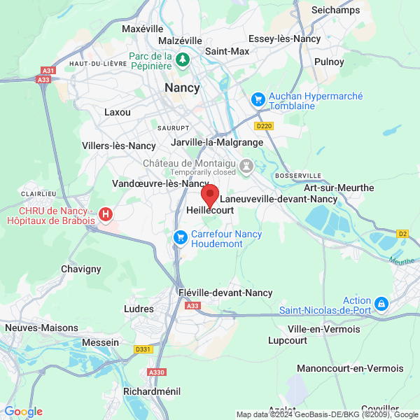 google map