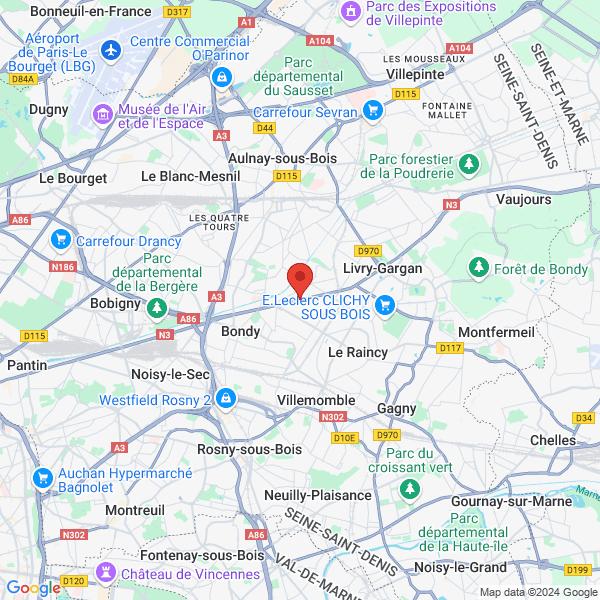 google map