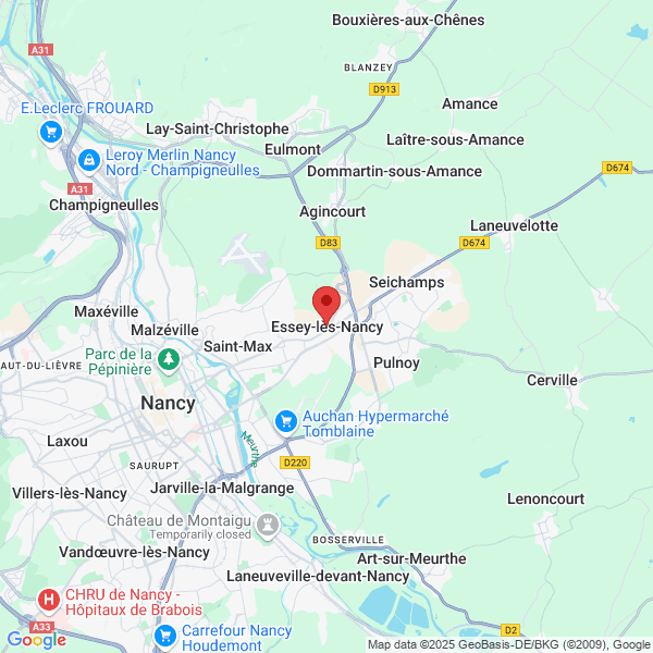 google map