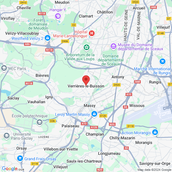 google map