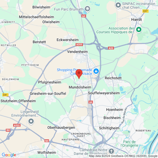 google map