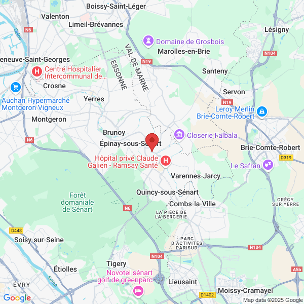 google map
