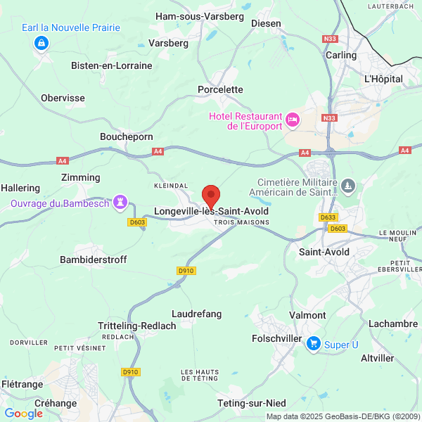 google map