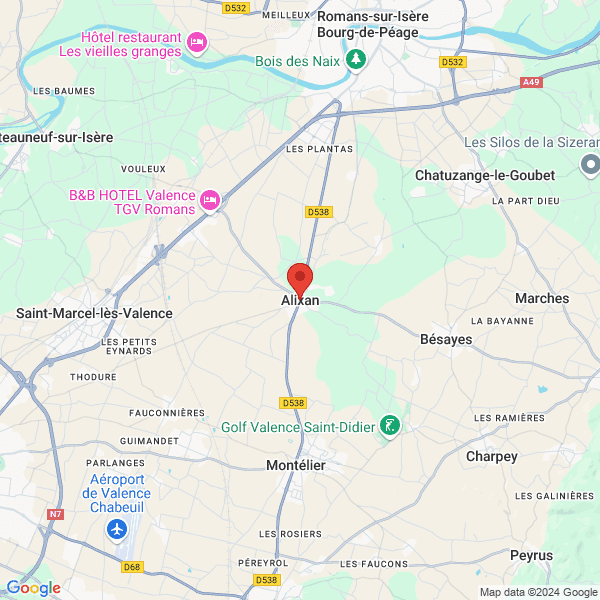 google map