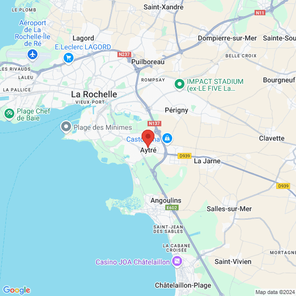 google map