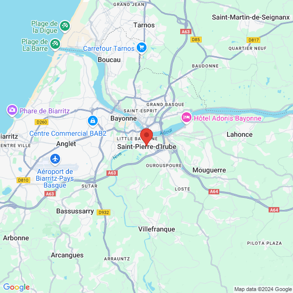 google map