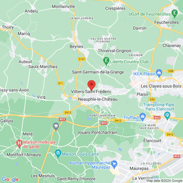 google map