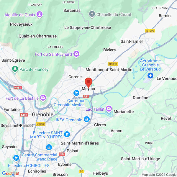 google map