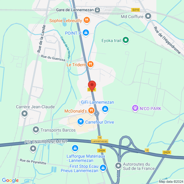 google map