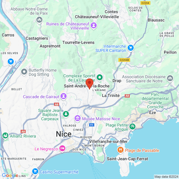 google map