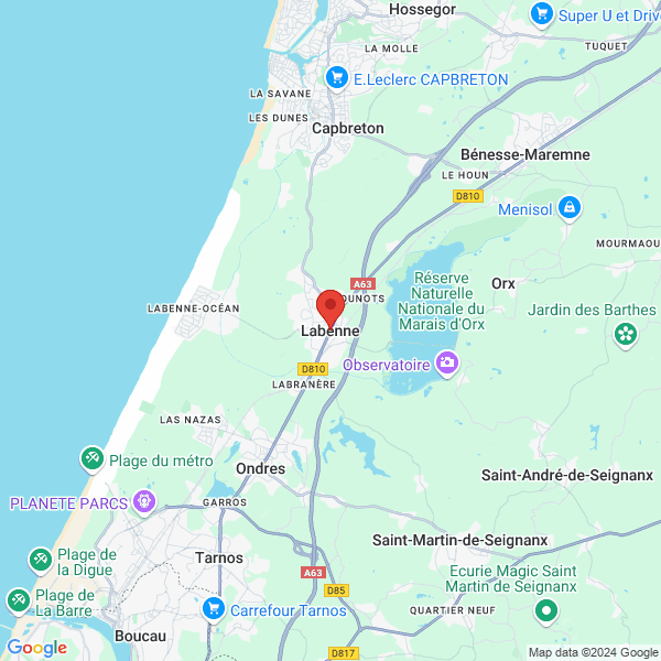 google map