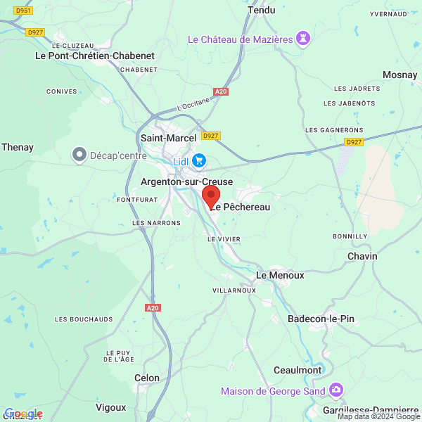 google map